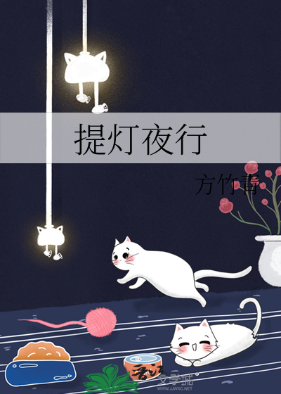 提灯黑夜行藏机诗