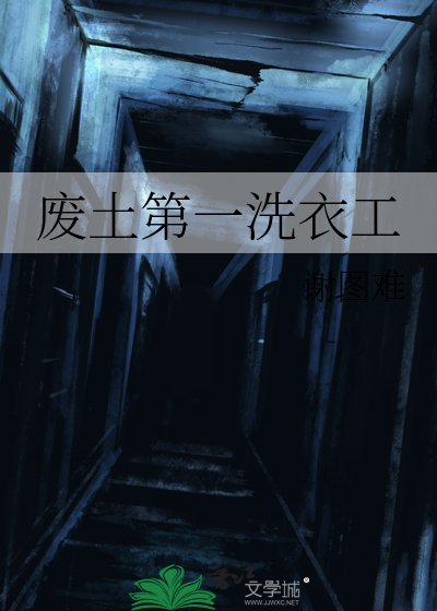 废土第一洗衣工