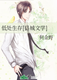 低处生存[县城文学]