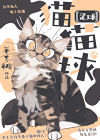 足球猫咪