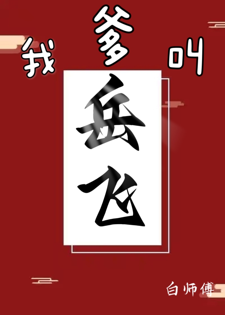 我是岳飞