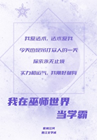 我在巫师世界当学霸格格党