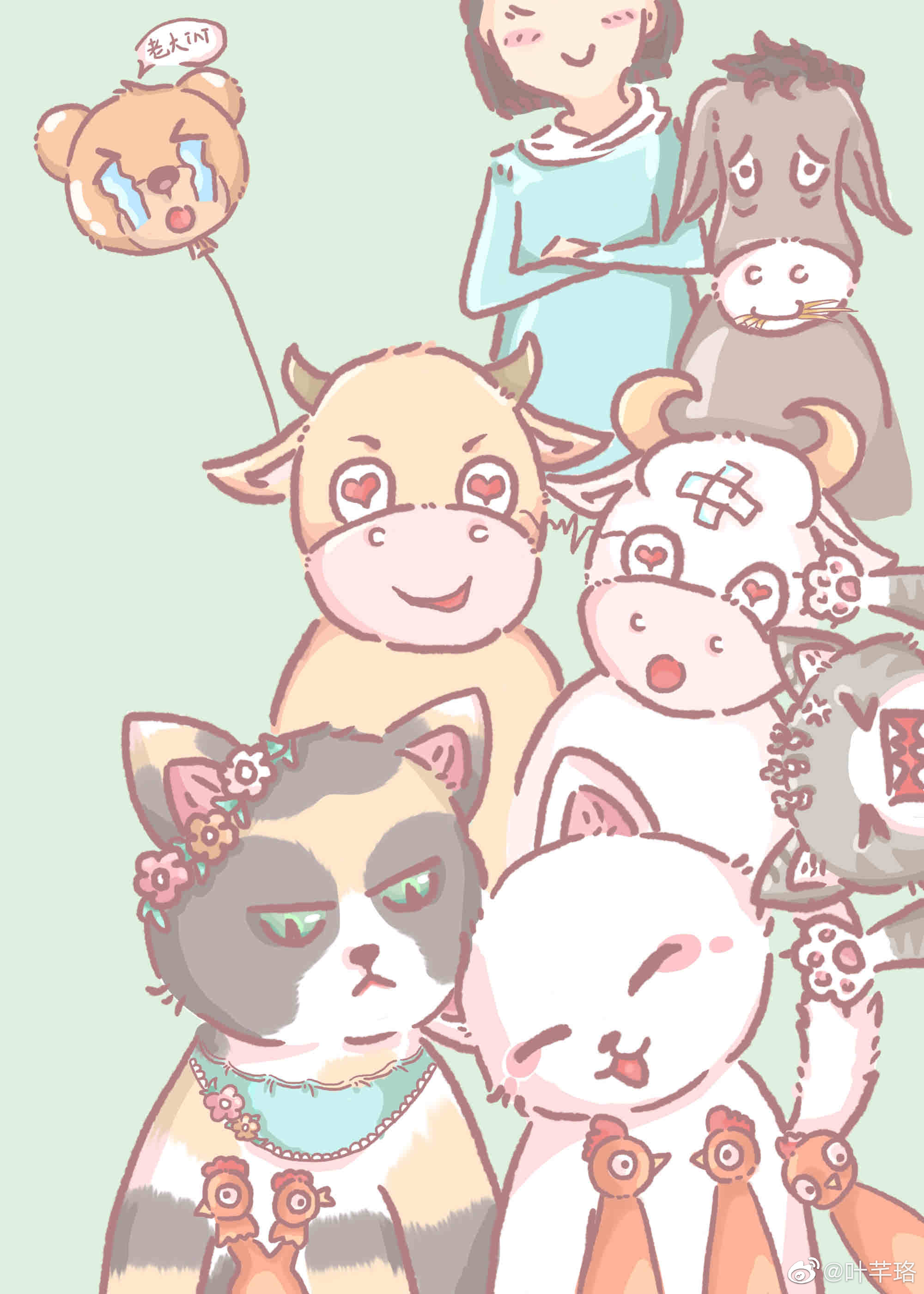 玳瑁猫多贵