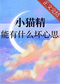 小猫精能有什么坏心思猫界