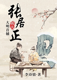 大明首辅张居正小说