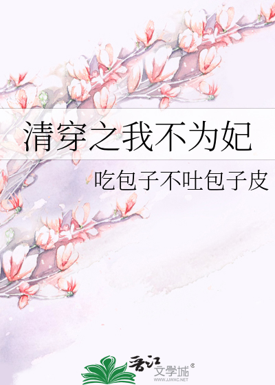 清穿之我不为妃小说