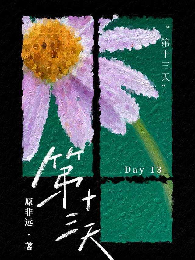 第十三天英语