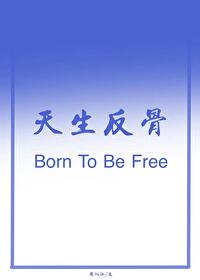 足球绿茵魔术师TXT百度云网盘