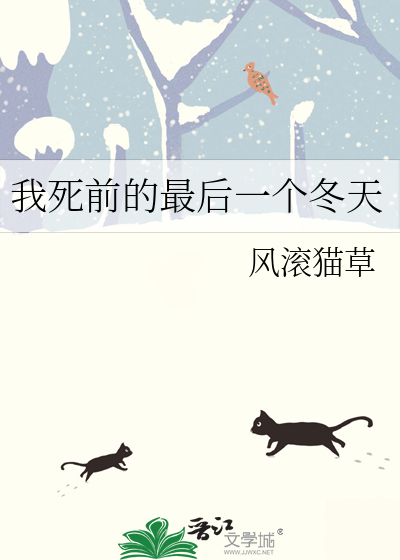 我死前的最后一个冬天小说