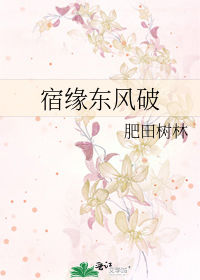 宿伞 东风遥