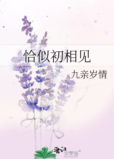 恰如初见你 小说