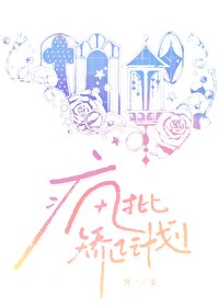 矫正计划怎么写