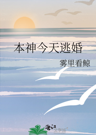 今天也在逃婚路上免费阅读