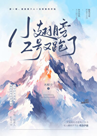 小翅膀吧