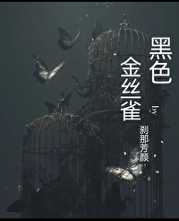 黑色金丝雀刹那