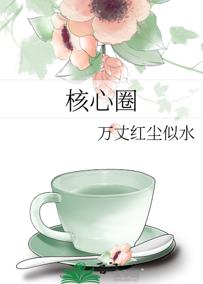 核心圈法则读后感