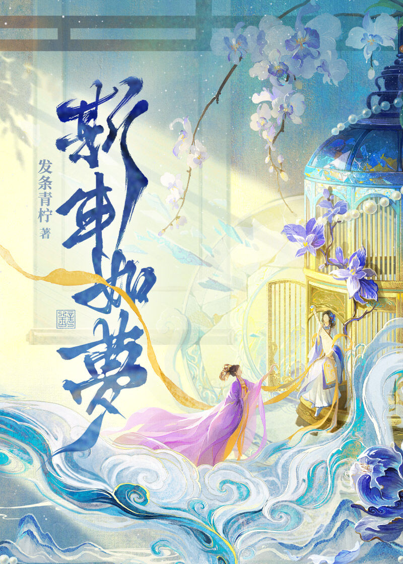 斯年如梦什么意思