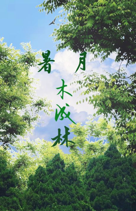 木月成约