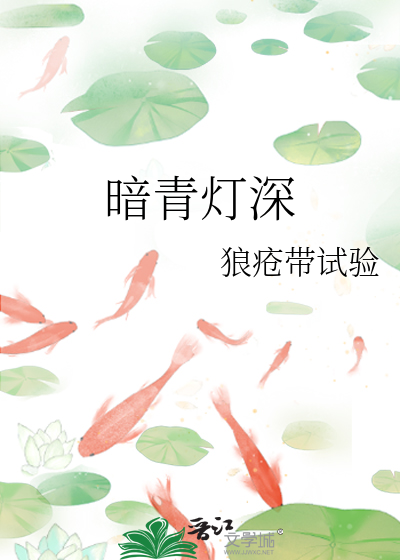 暗灯全本