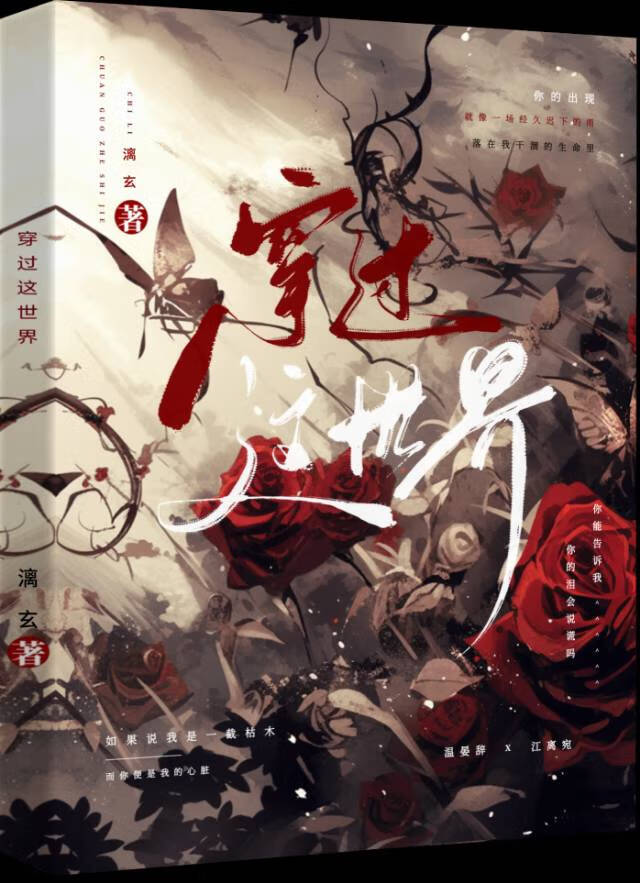 穿过世界去爱你