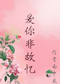 非爱你是什么意思