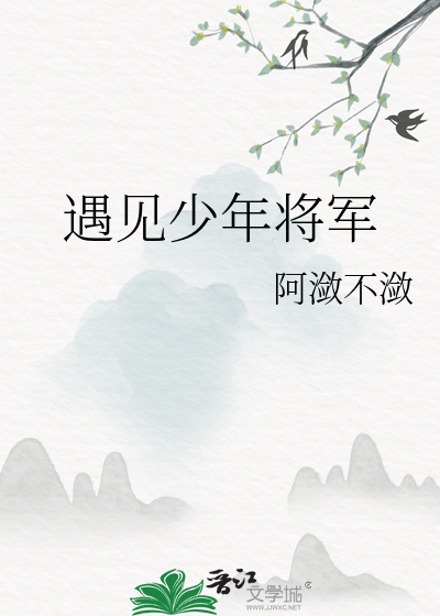 遇见少年将军小说