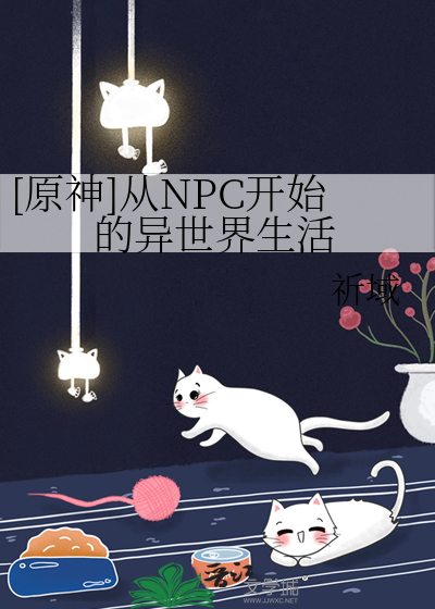 从npc寨主