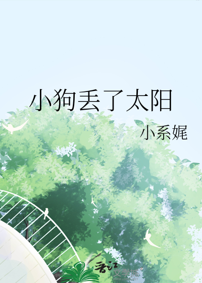 狗狗丢了怎么发寻狗启示