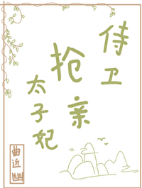 太子妃的贴身侍卫