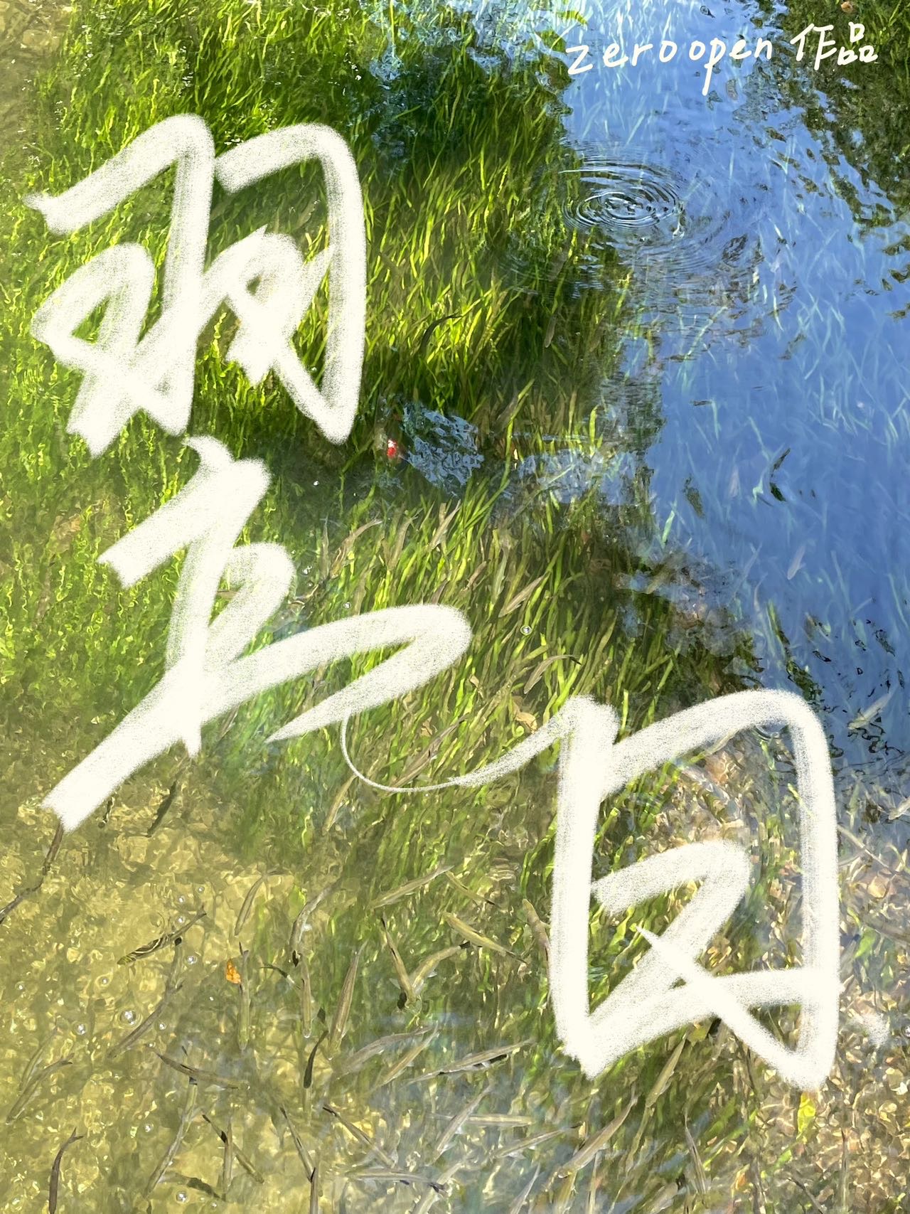 翌日恐怖游戏