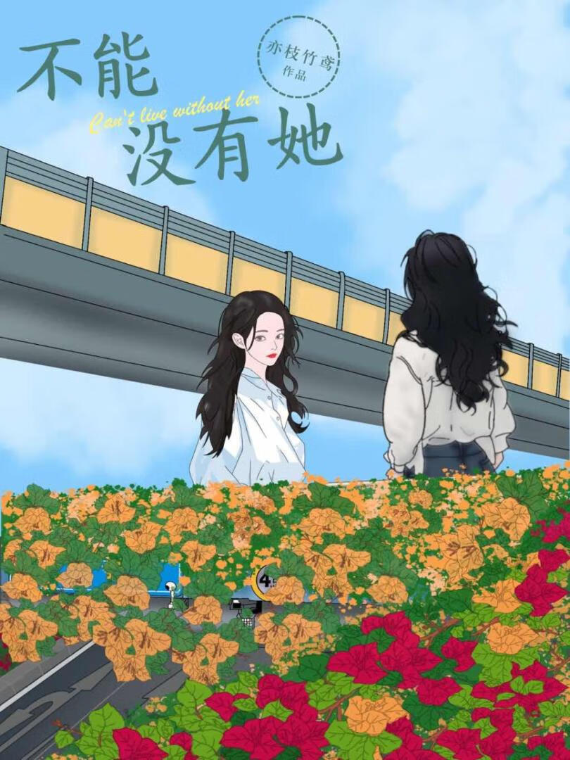 不能没有她 电视剧