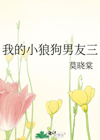 我的小狼狗男友三十四集