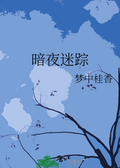 暗夜迷踪剧情介绍