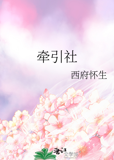 按下快门不能拍照