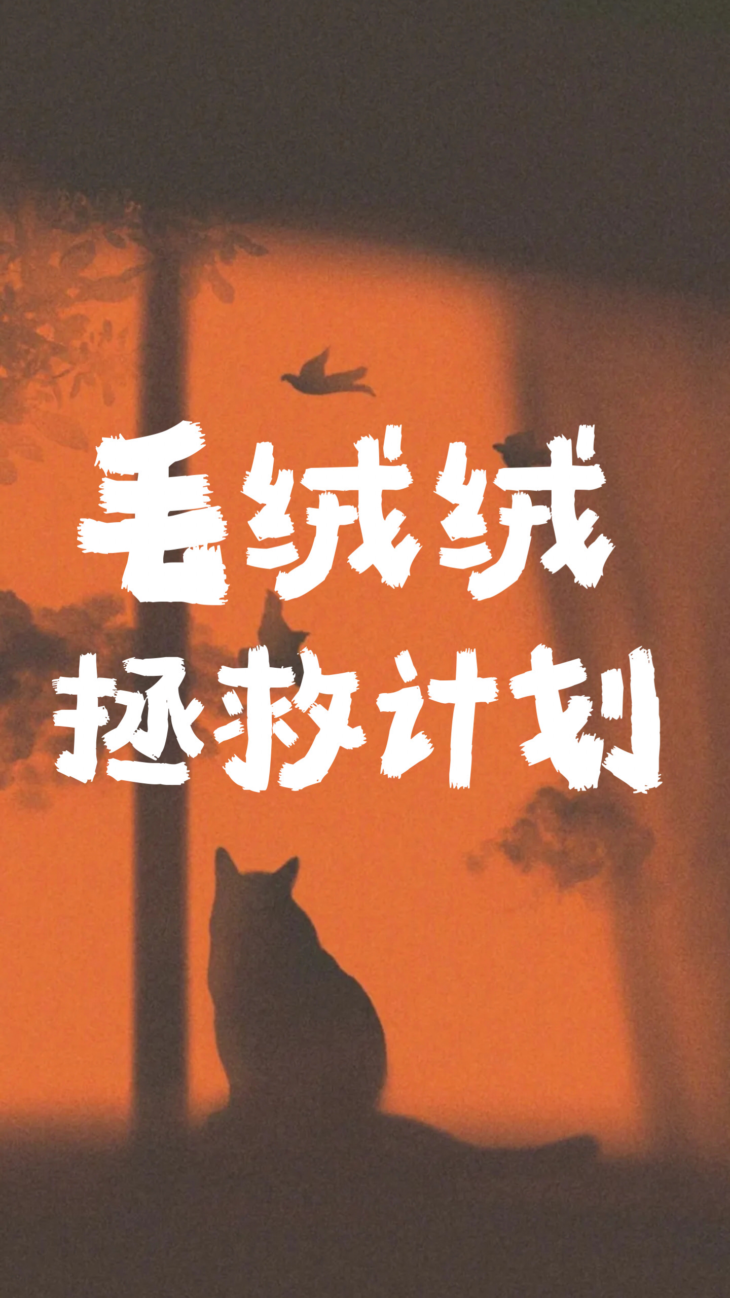 毛绒绒拯救计划顾朝朝