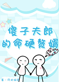 傻夫夫的另一半叫啥