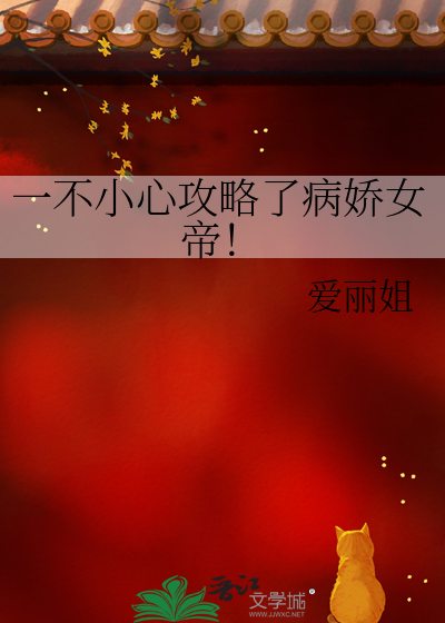 枪与剑机体