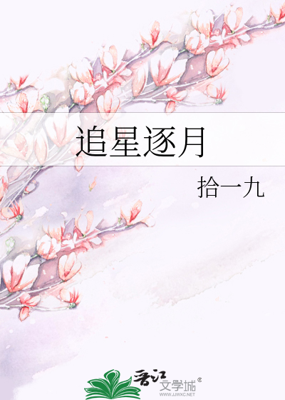追星逐月不北斗