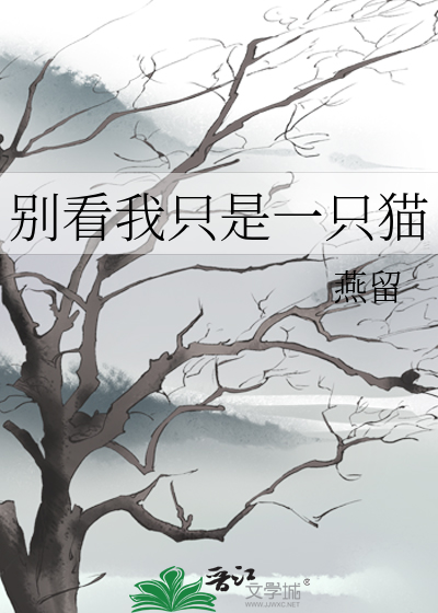 别看我只是一只猫海贼王
