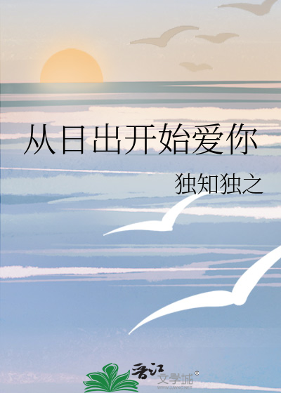 从日出到日落什么意思