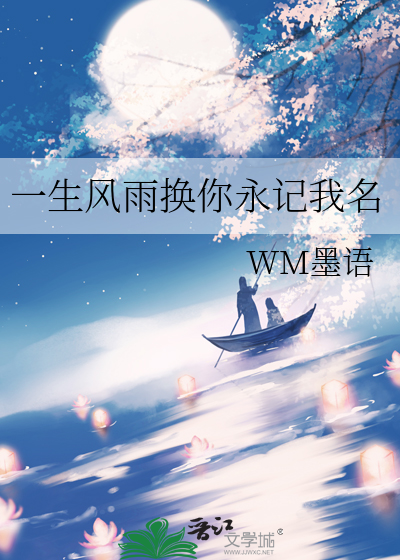 一生风雨中是哪个歌的歌词