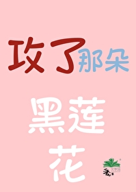 攻了那朵黑莲花的小说