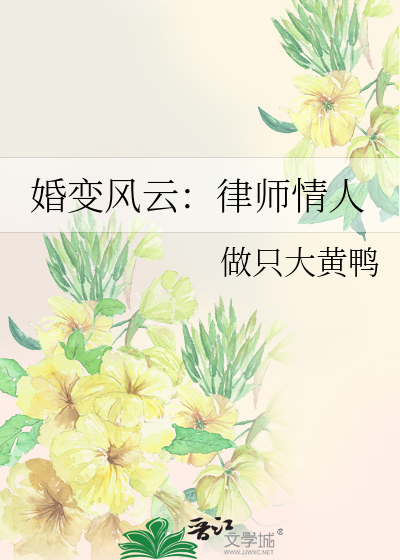 婚姻律师小说