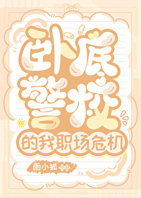 卧底警察心路历程和传奇见闻