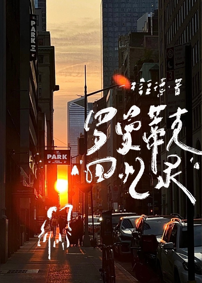 罗曼蒂克消亡史带我回上海