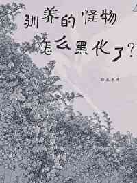 关于我转生为