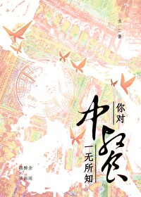 对中餐的了解