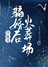 娘子求宠免费阅读