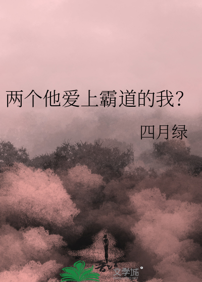 爱上两个他歌词